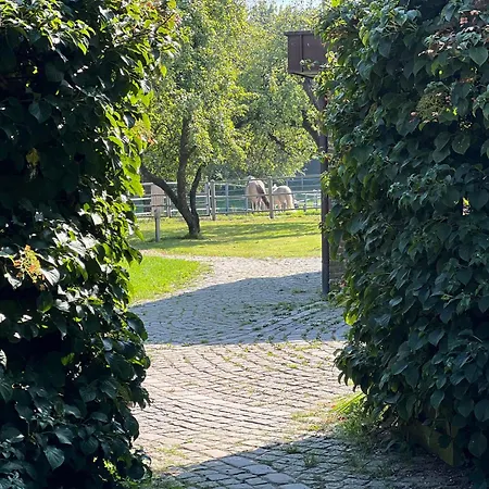 Haupthaus Дом отдыха Osterby (Rendsburg-Eckernforde)
