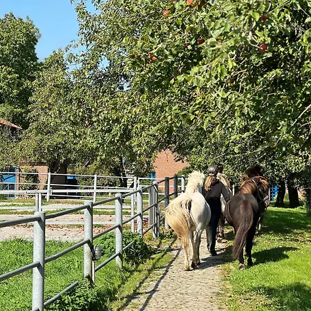 Haupthaus