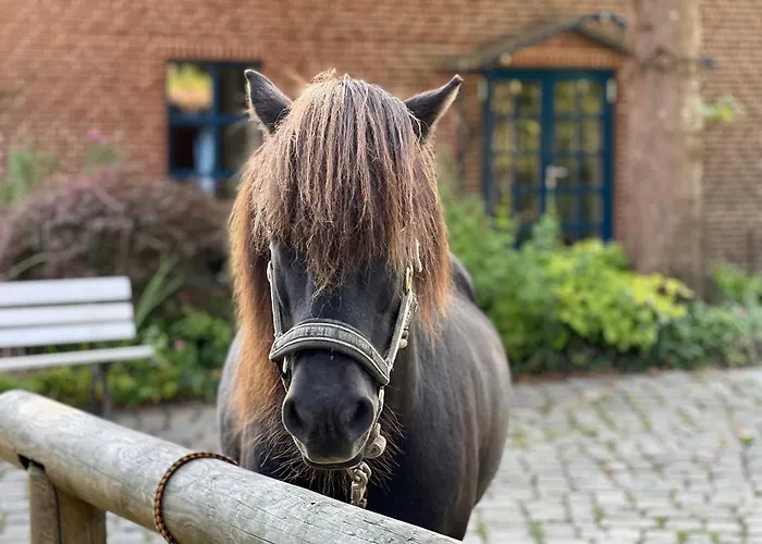 Haupthaus Semesterbostad *
